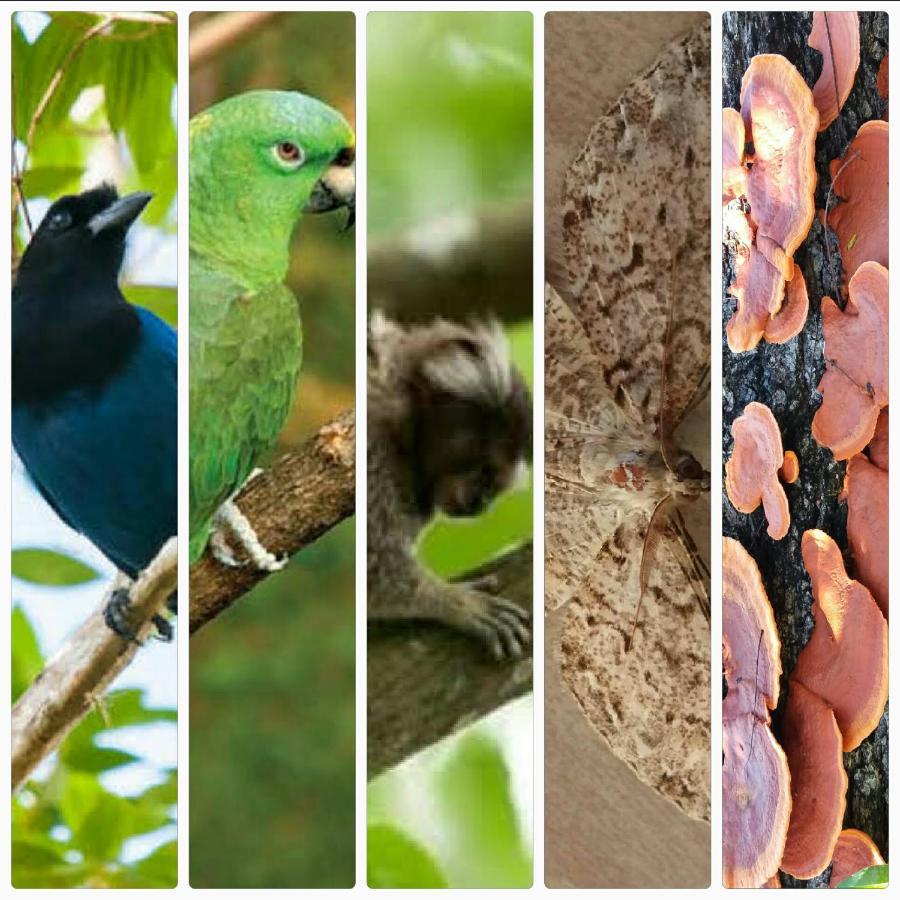 Hang Conectada Com A Natureza Сasa de vacaciones *