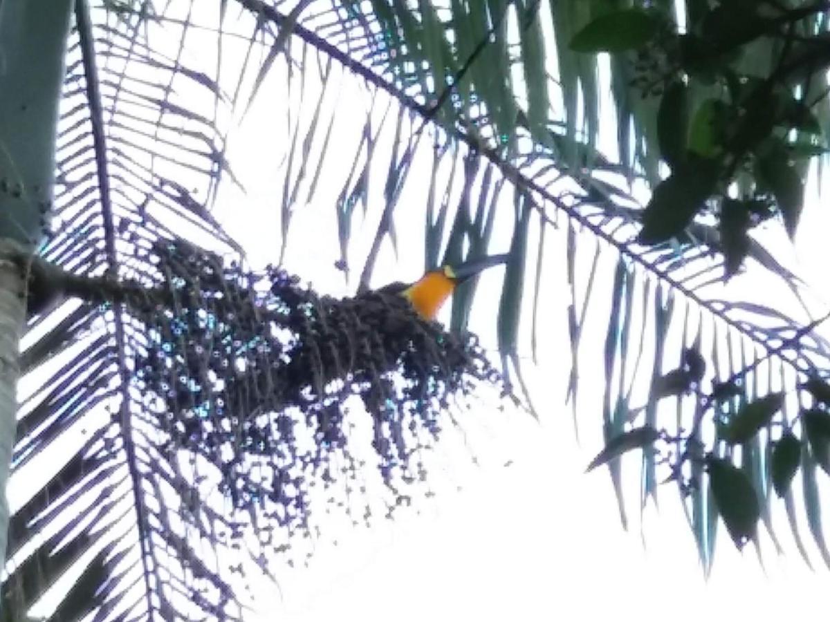 Hang Conectada Com A Natureza